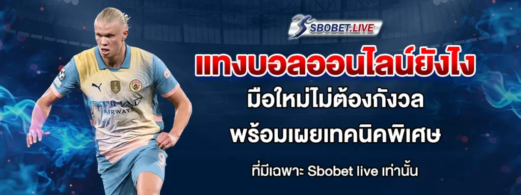 แทงบอลออนไลน์ยังไง