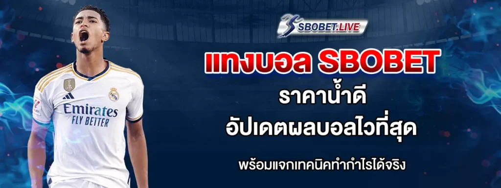 แทงบอลออนไลน์ SBOBET